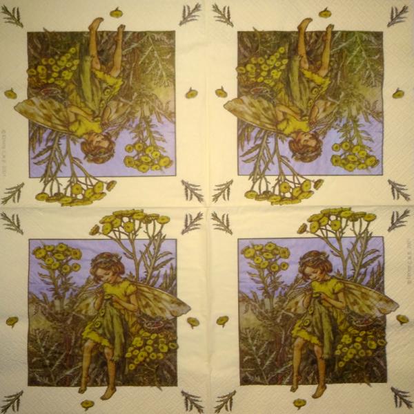 081 Mädchen - Flower Fairies - 2001